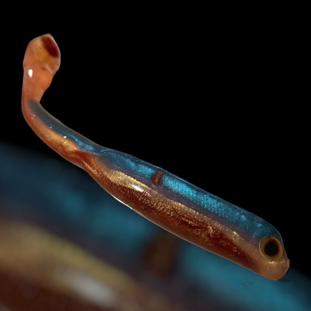 Kunstköder für Raubfisch