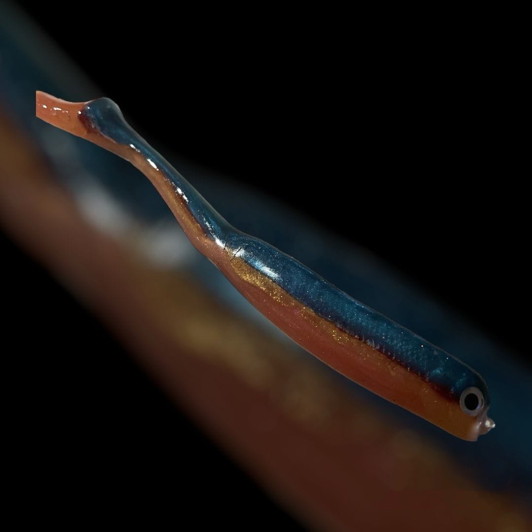 Kunstköder für Raubfisch
